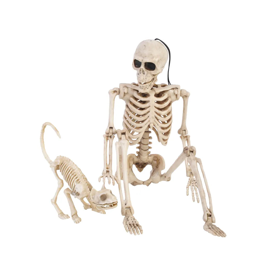 Skeleton and Pet 14in