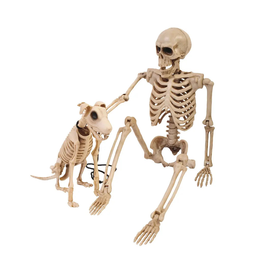 Skeleton and Pet 14in