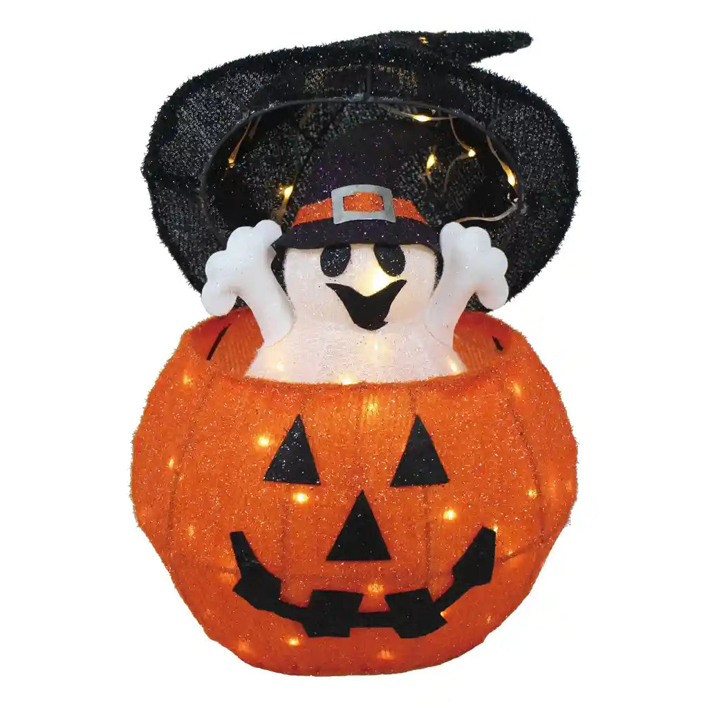 50 LED Pumpkin with Up and Down Ghost, 17in