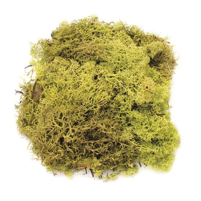Moss Light Green 50G