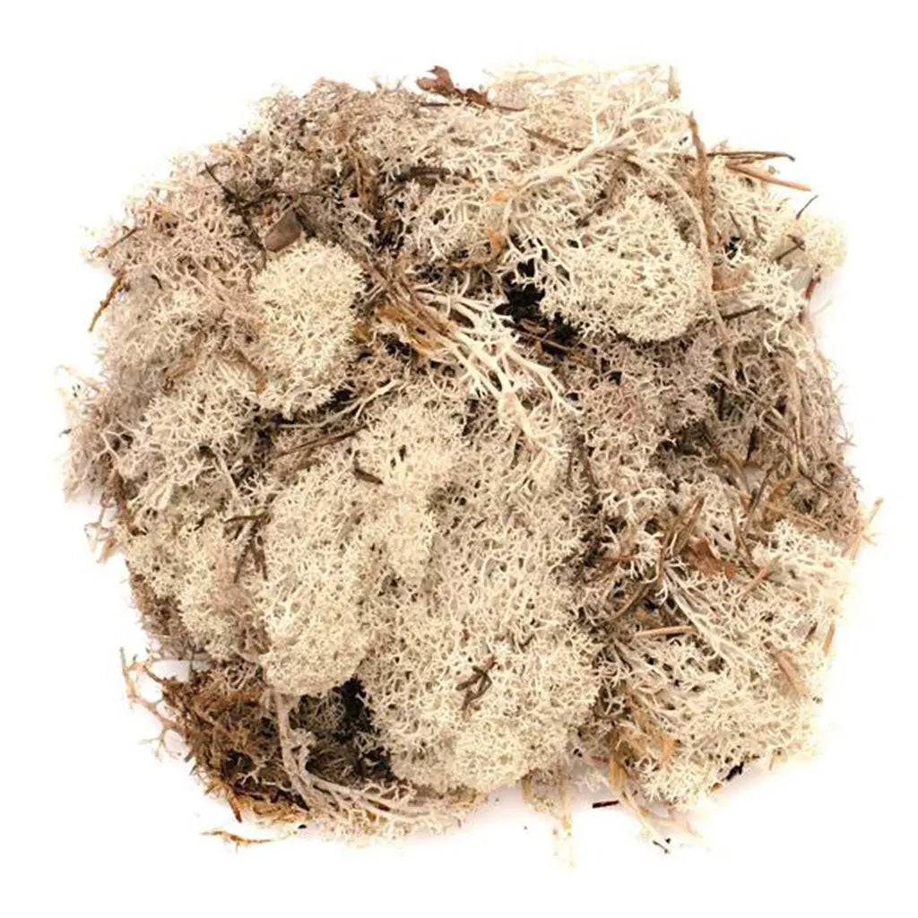 Moos 50G Natural