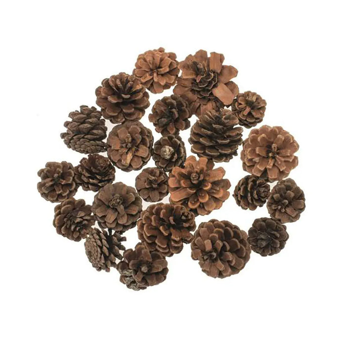 Fir Cones Assorted, 2.5-5cm 100G