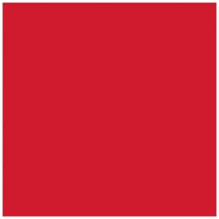 Photocarton 300g/m2 A4 bright Red