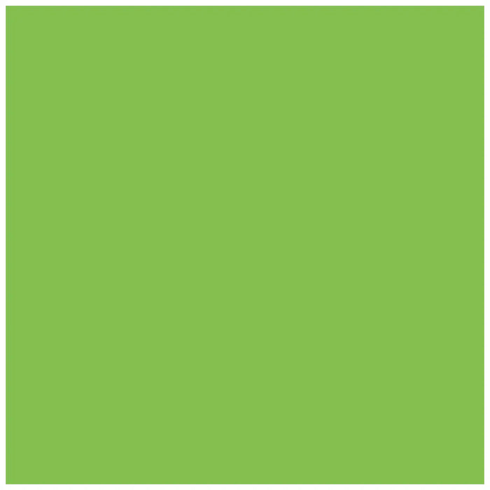 Photocarton 300g/m2 A4 Light Green