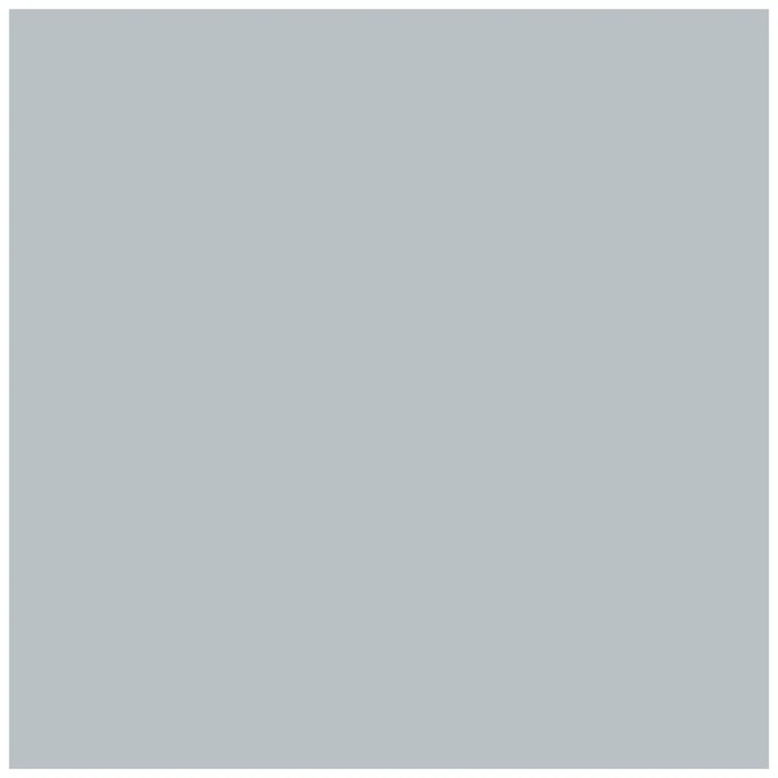 Photocarton 300g/m2 A4 Silver