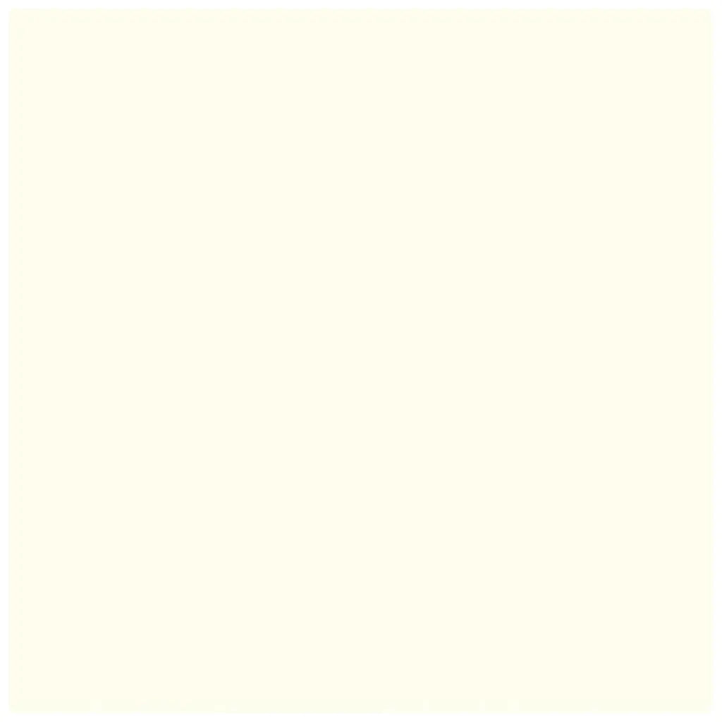 Photo Cardboard 300G/M2 50X70cm 1 Sheet, Mop