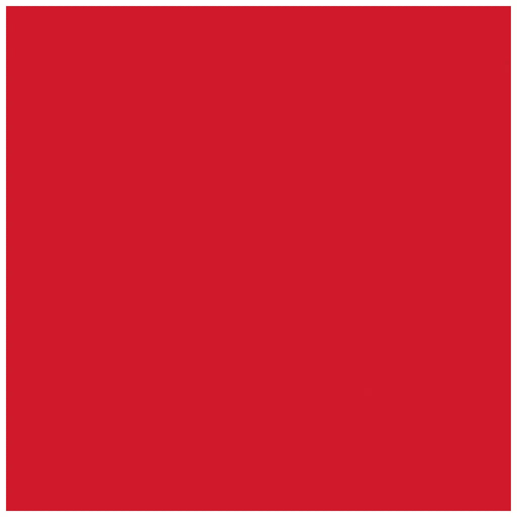 Photo Cardboard 300G/M2 50X70cm 1 Sheet, Red
