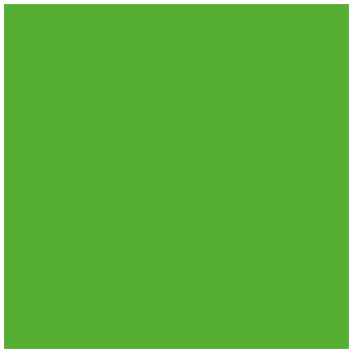 Photo Cardboard 300G/M2 50X70cm 1 Sheet, Grass Green