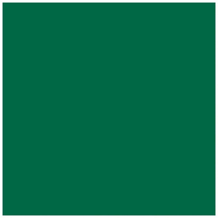 Photo Cardboard 300G/M2 50X70cm 1 Sheet, Fir Green