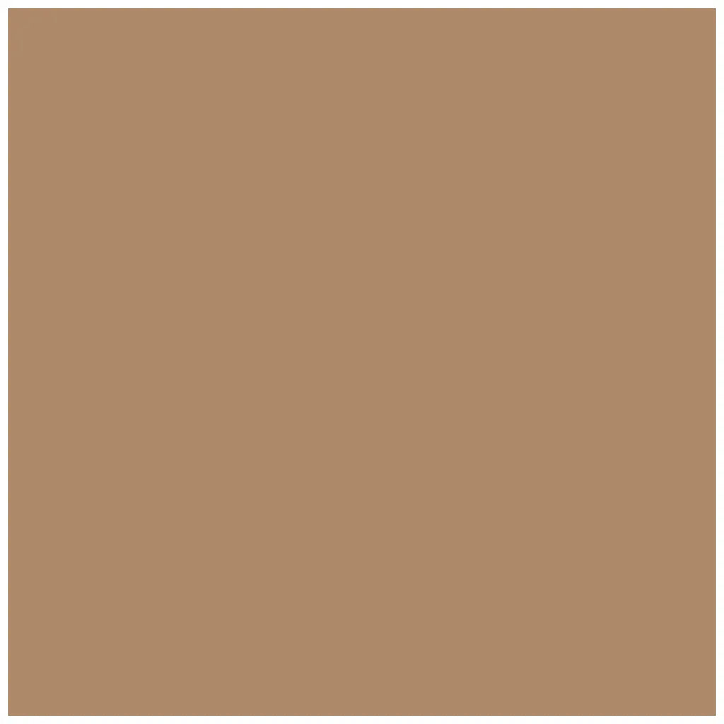 Photo Cardboard 300G/M2 50X70cm 1 Sheet, Fawn Brown