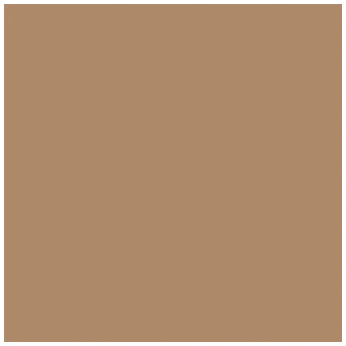 Photo Cardboard 300G/M2 50X70cm 1 Sheet, Fawn Brown