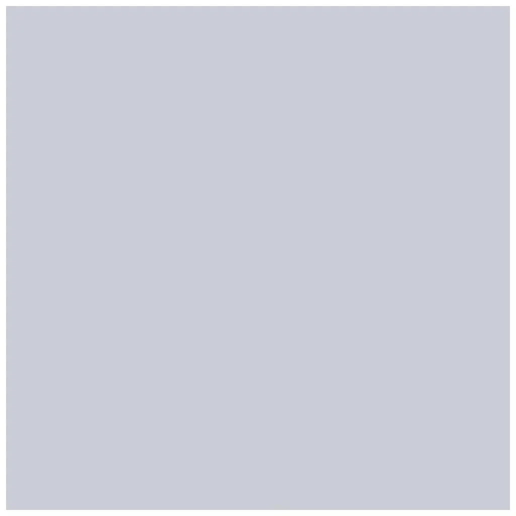 Photo Cardboard 300G/M2 50X70cm 1 Sheet, Light Gray