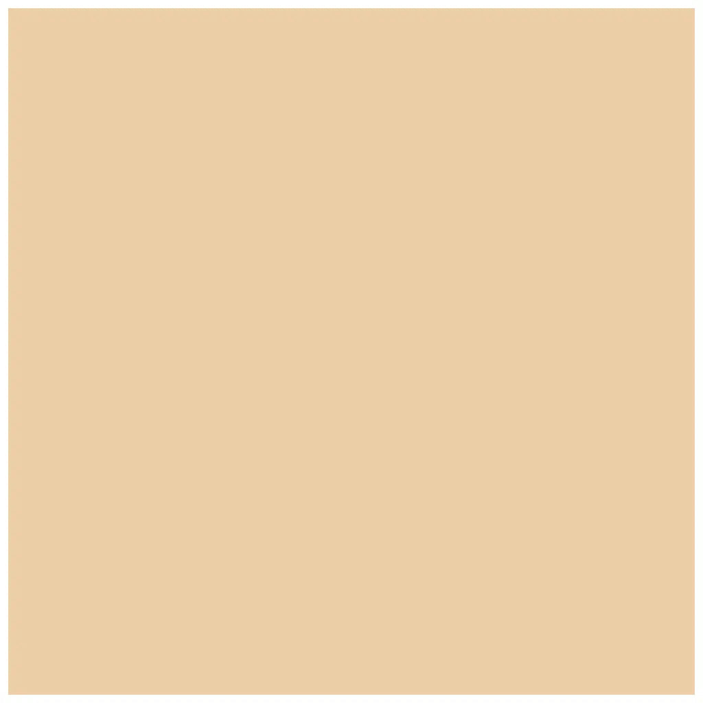 Colour Paper 130G/M2 50X70cm, Chamois