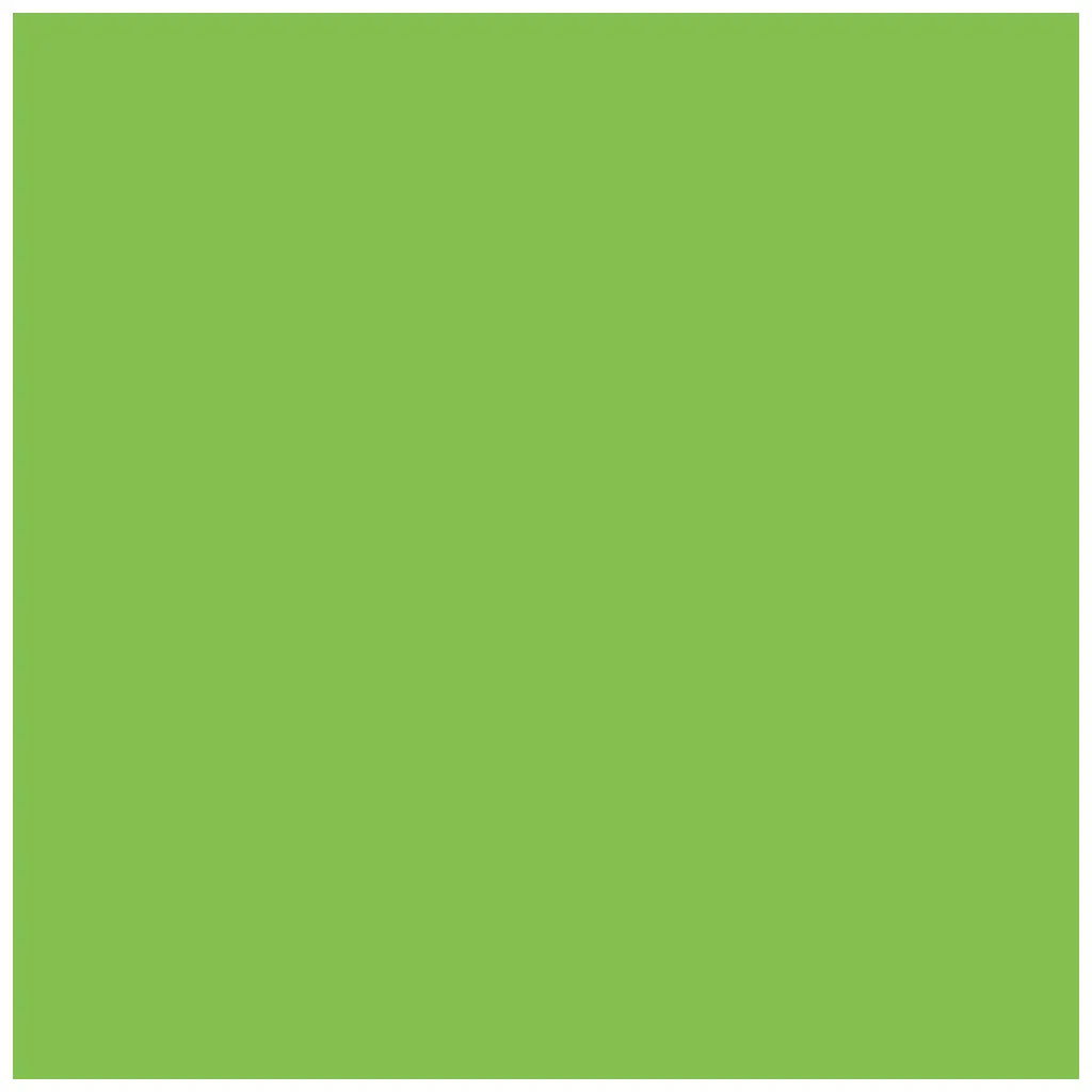 Colour Paper 130G/M2 50X70cm, Light Green