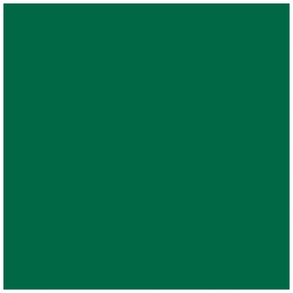 Colour Paper 130G/M2 50X70cm, Fir-Green