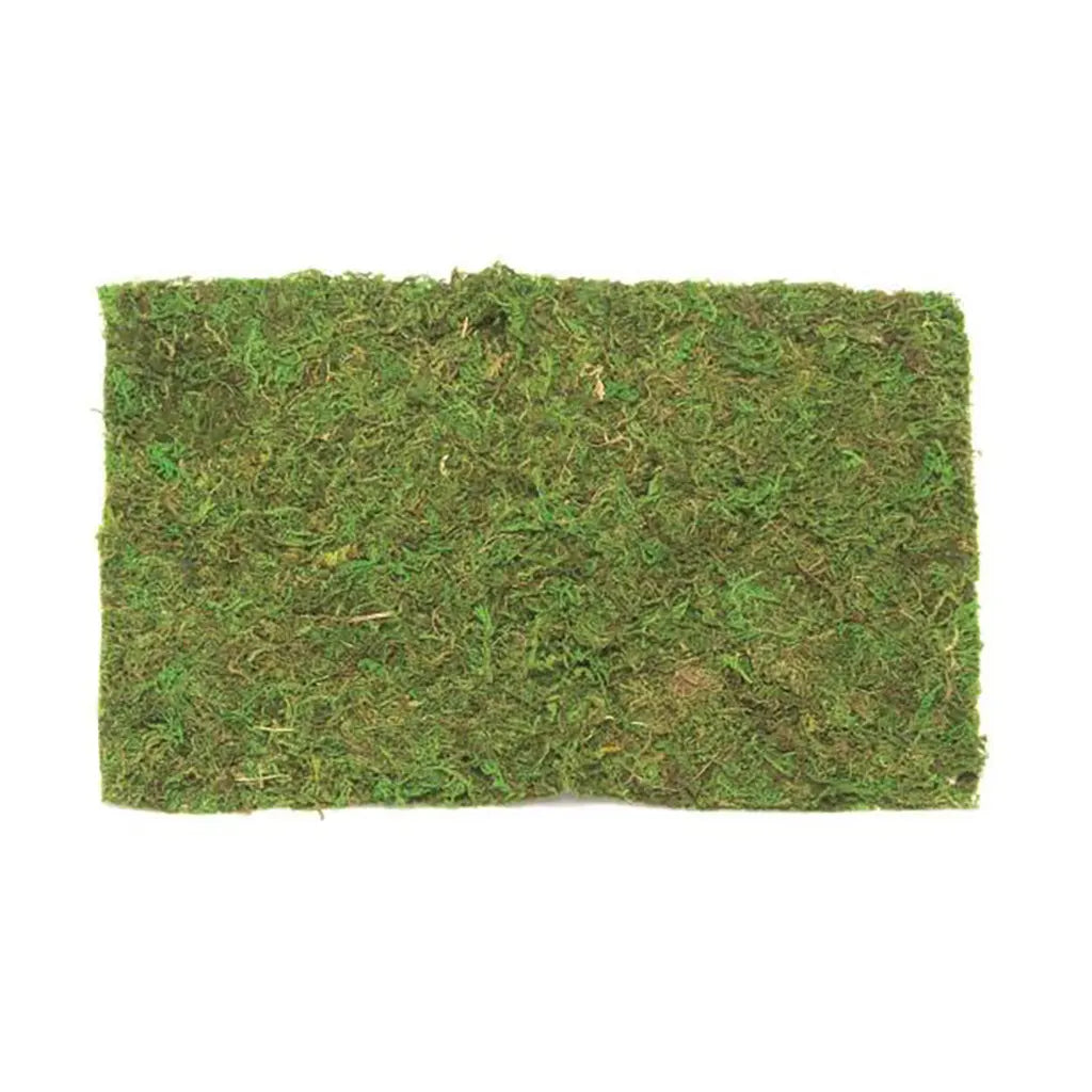 Moos Sheet 30G In A Bag