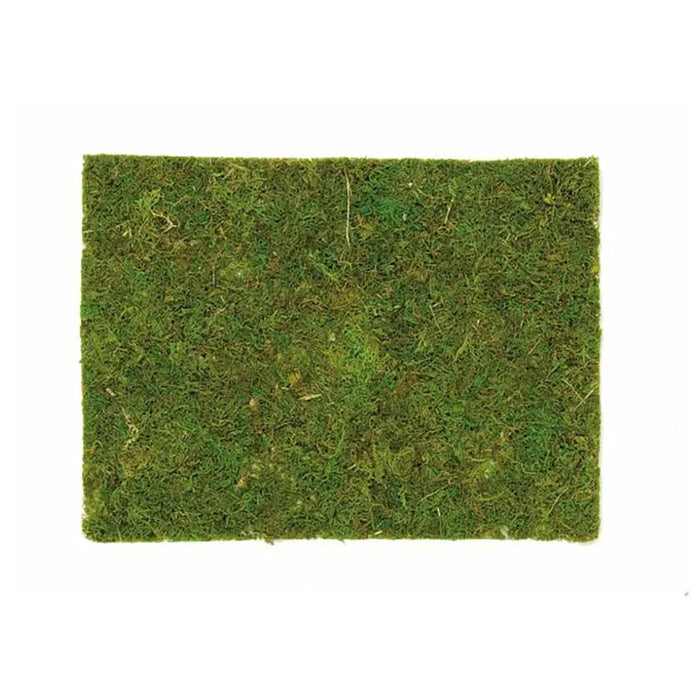 Moss Board 40x30cm