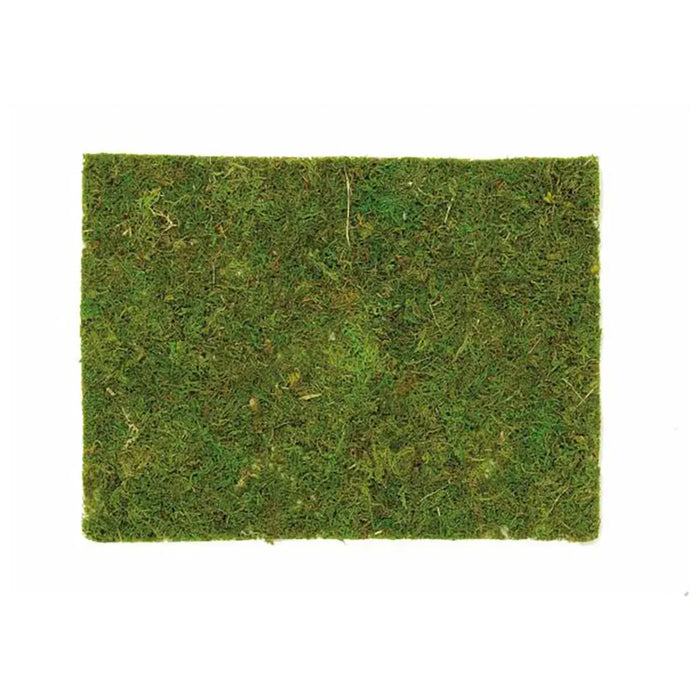 Moss Board 30x20cm