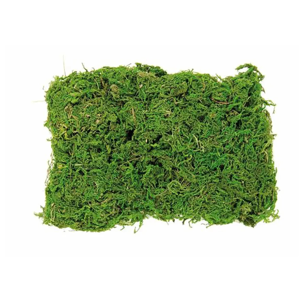 Moss Bag 50G
