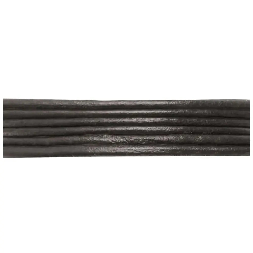 Leather Thong 2mm/1m, Black
