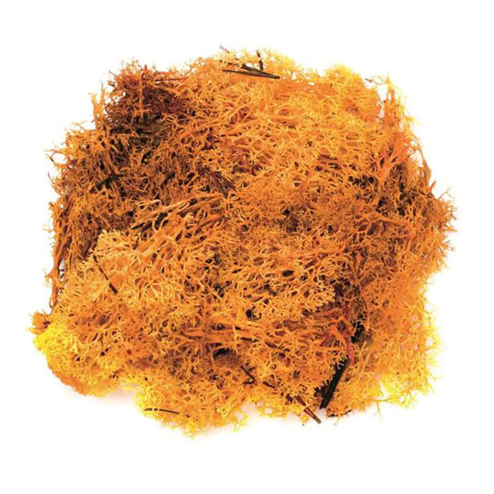 Moos Orange 50G