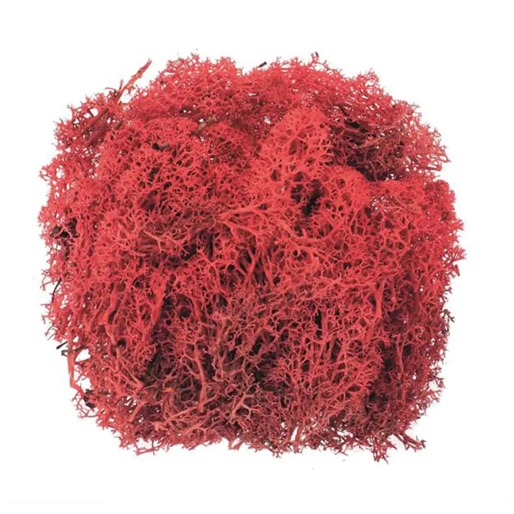 Moos 50G Red