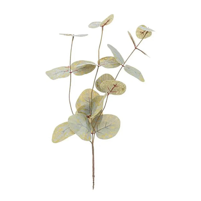 Eucalyptus Branch 37cm