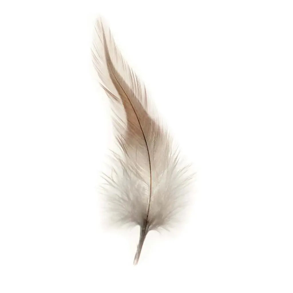 Deco Feathers Approx 15Pcs, Nature Brown