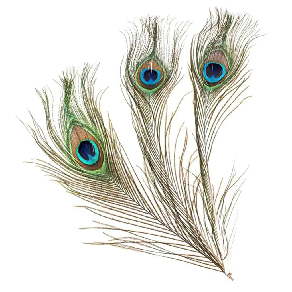 Peacock Feathers 25cm 3pcs