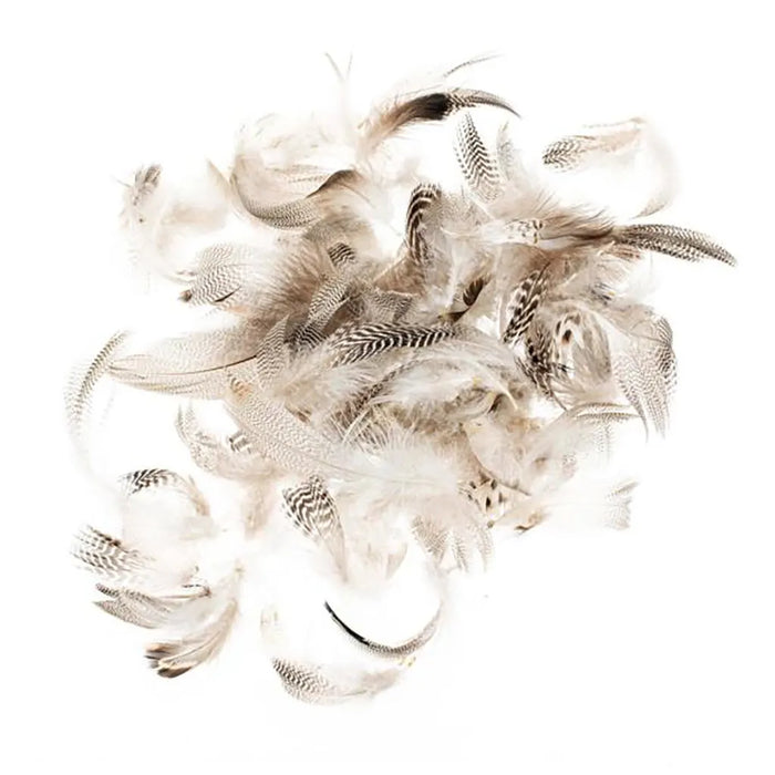 Rooster Feathers 5-12cm 10G