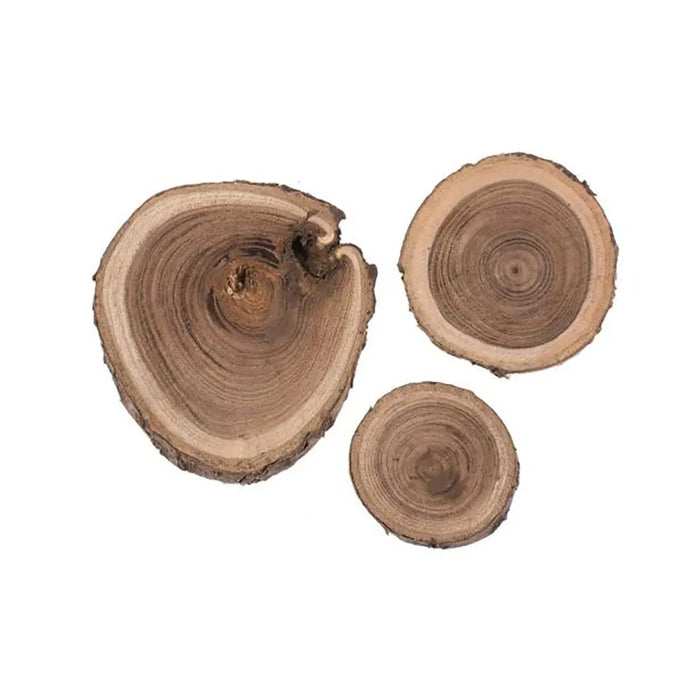 Robinia Wood Discs 80G 3-6cm