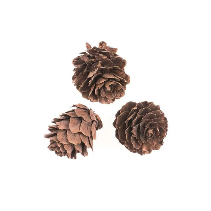 Fir Cones Small 60G 2-3cm