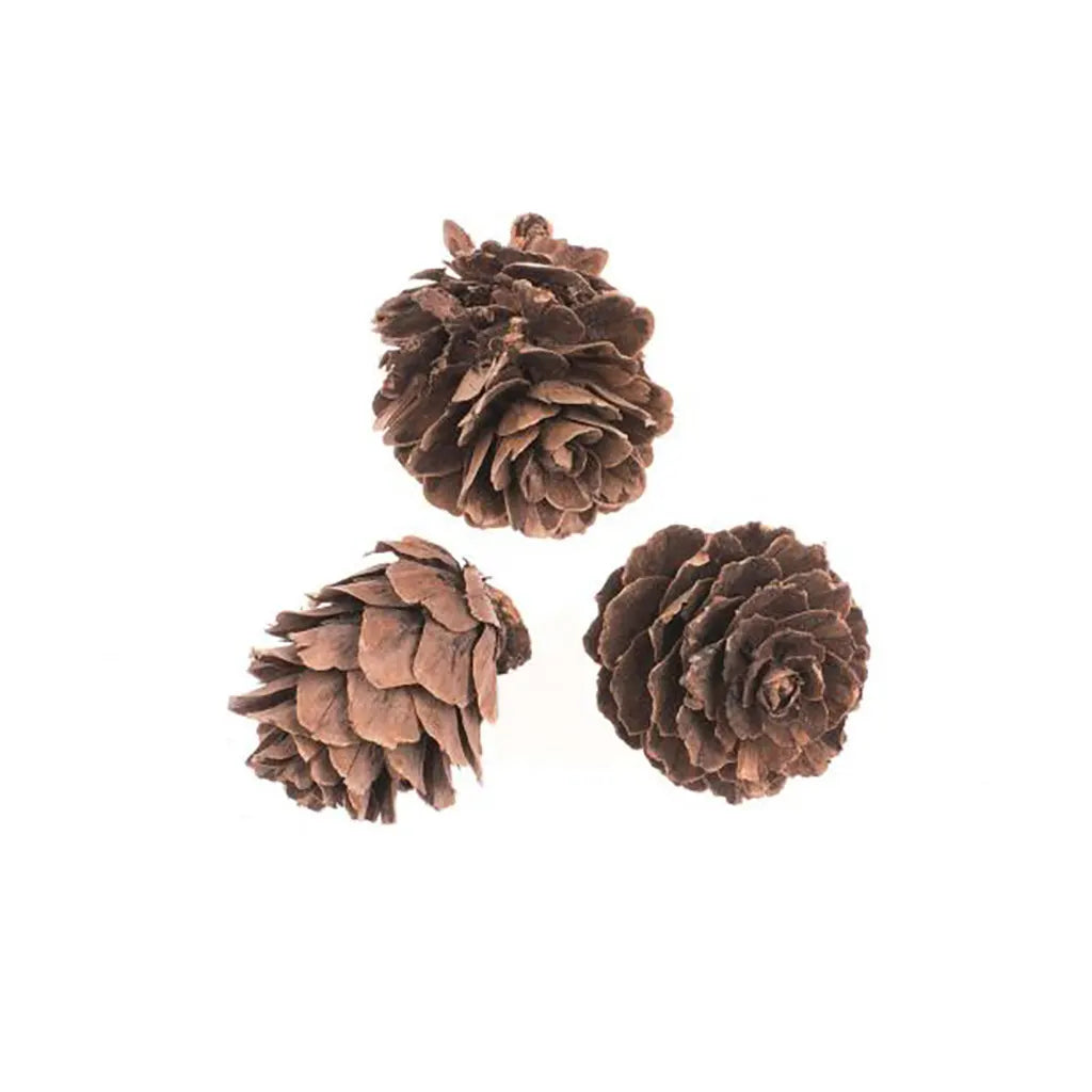 Fir Cones Small 60G 2-3cm