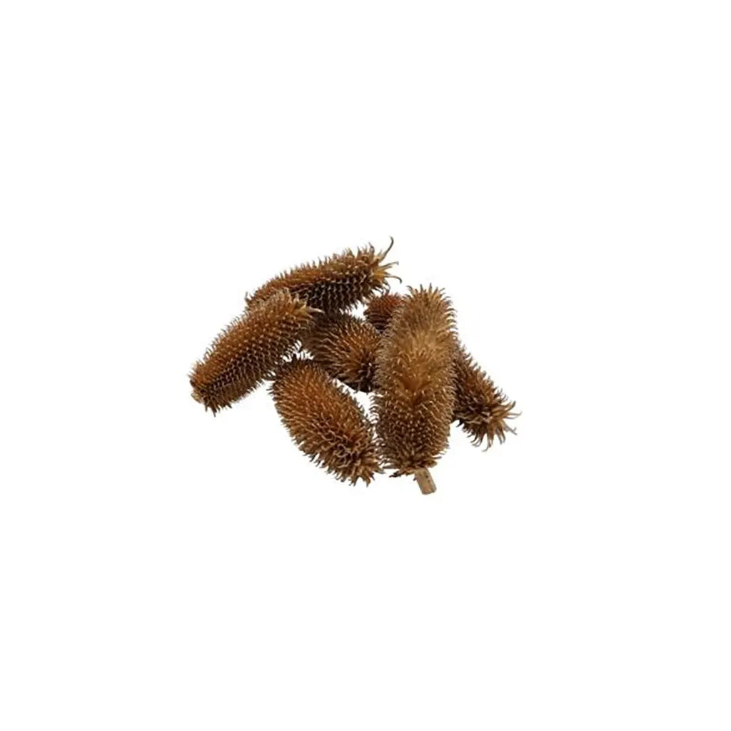 Thistle Head, 6Pcs