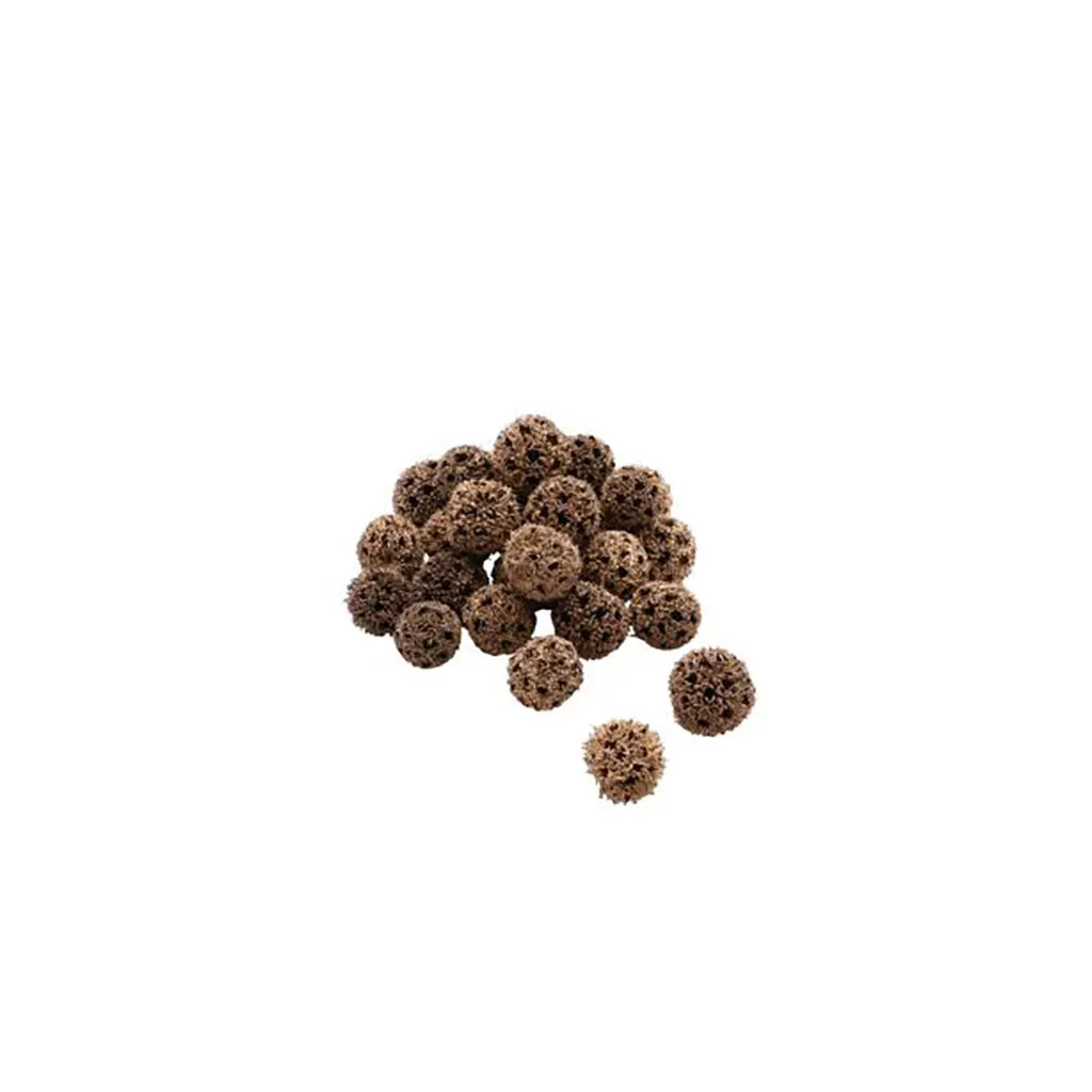 Amber Tree Fruit, 80G