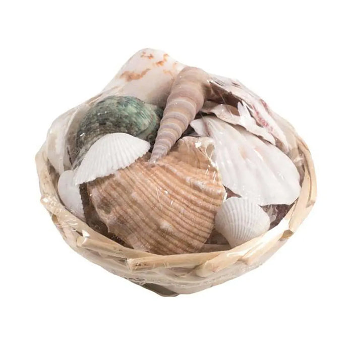 Shell Basket 4in 150G 10cm