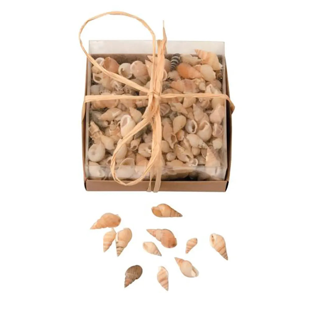 Shell Mix in Box 90G