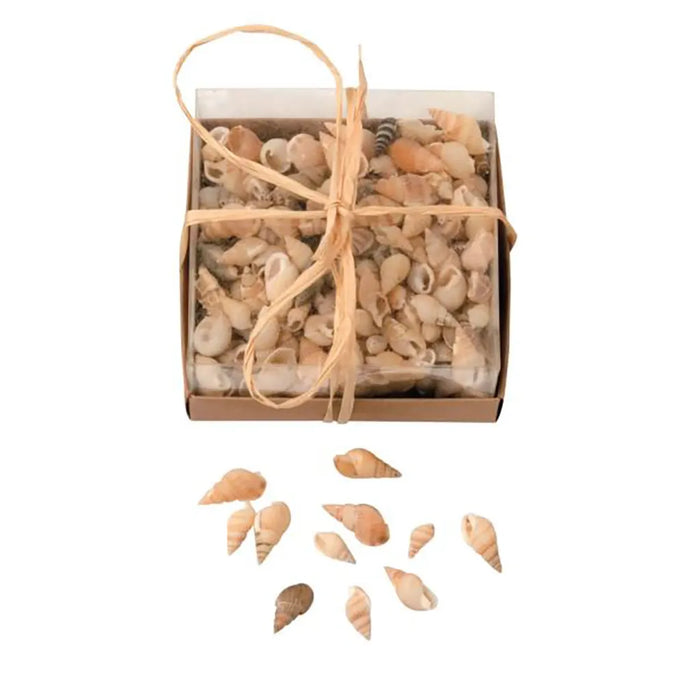 Shell Mix in Box 90G