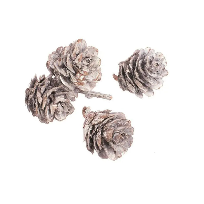 Pine Cones Small 3-4cm 50g
