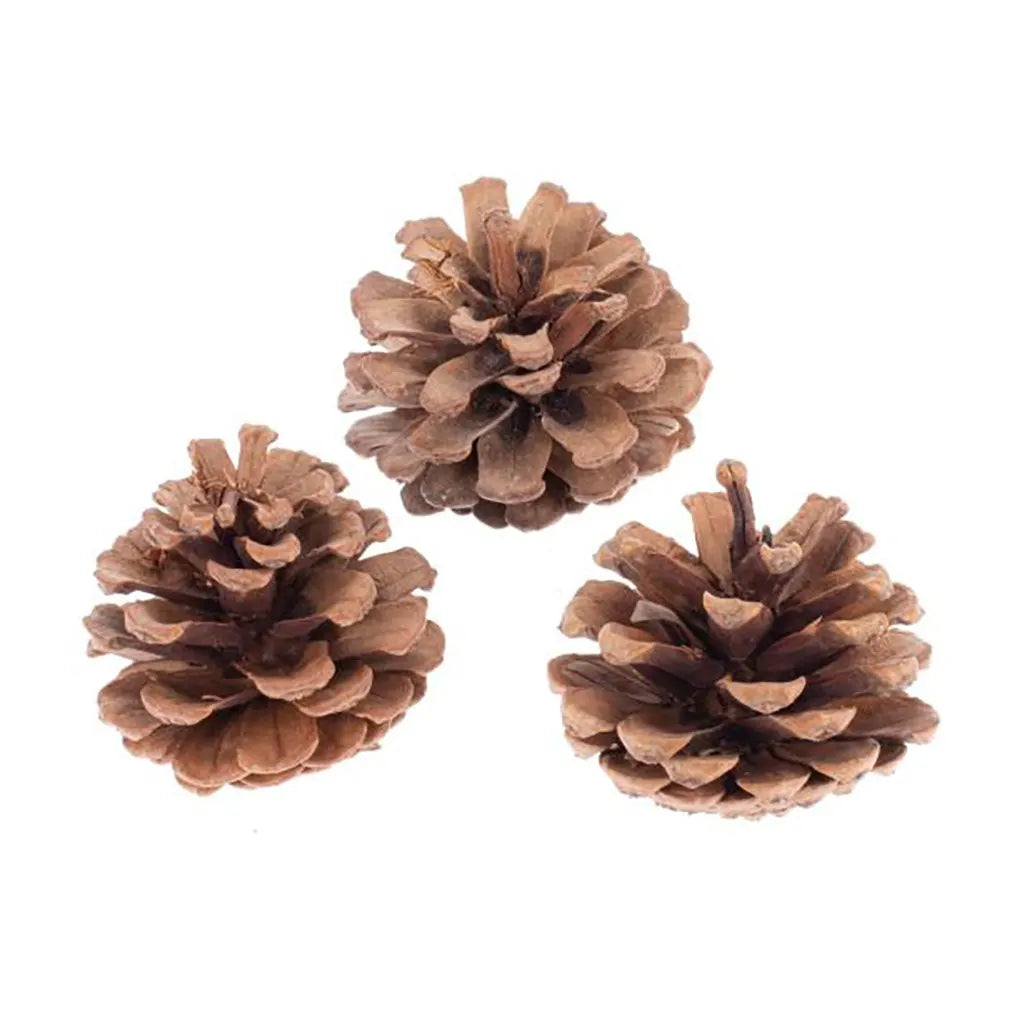 Pine Cones Natural 6-8cm, 200G