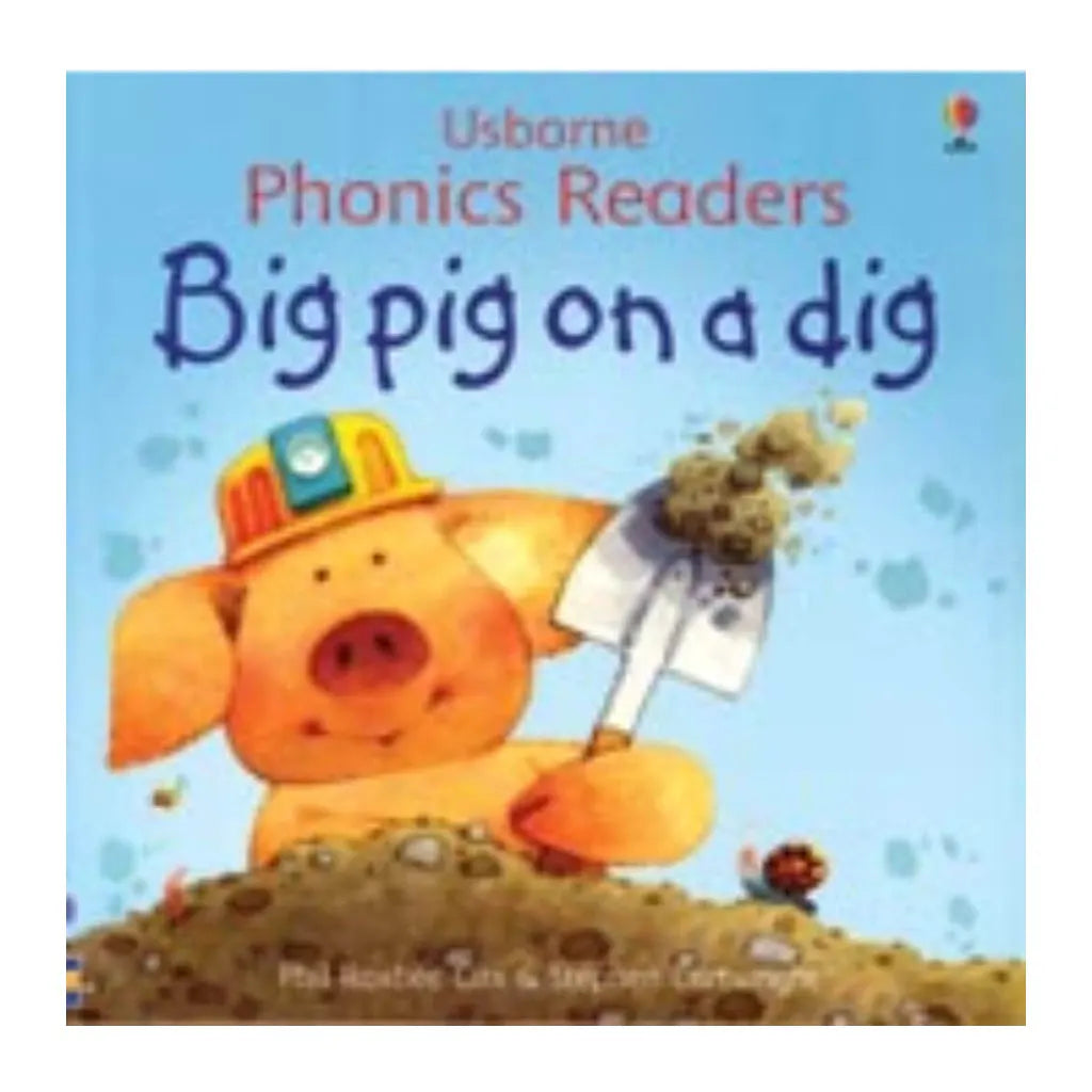 Book Big Pig On A Dig