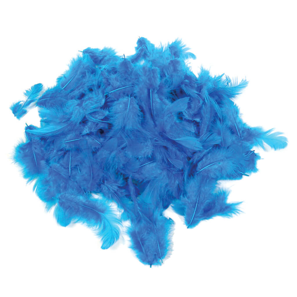 Craft Feathers 12G Blue