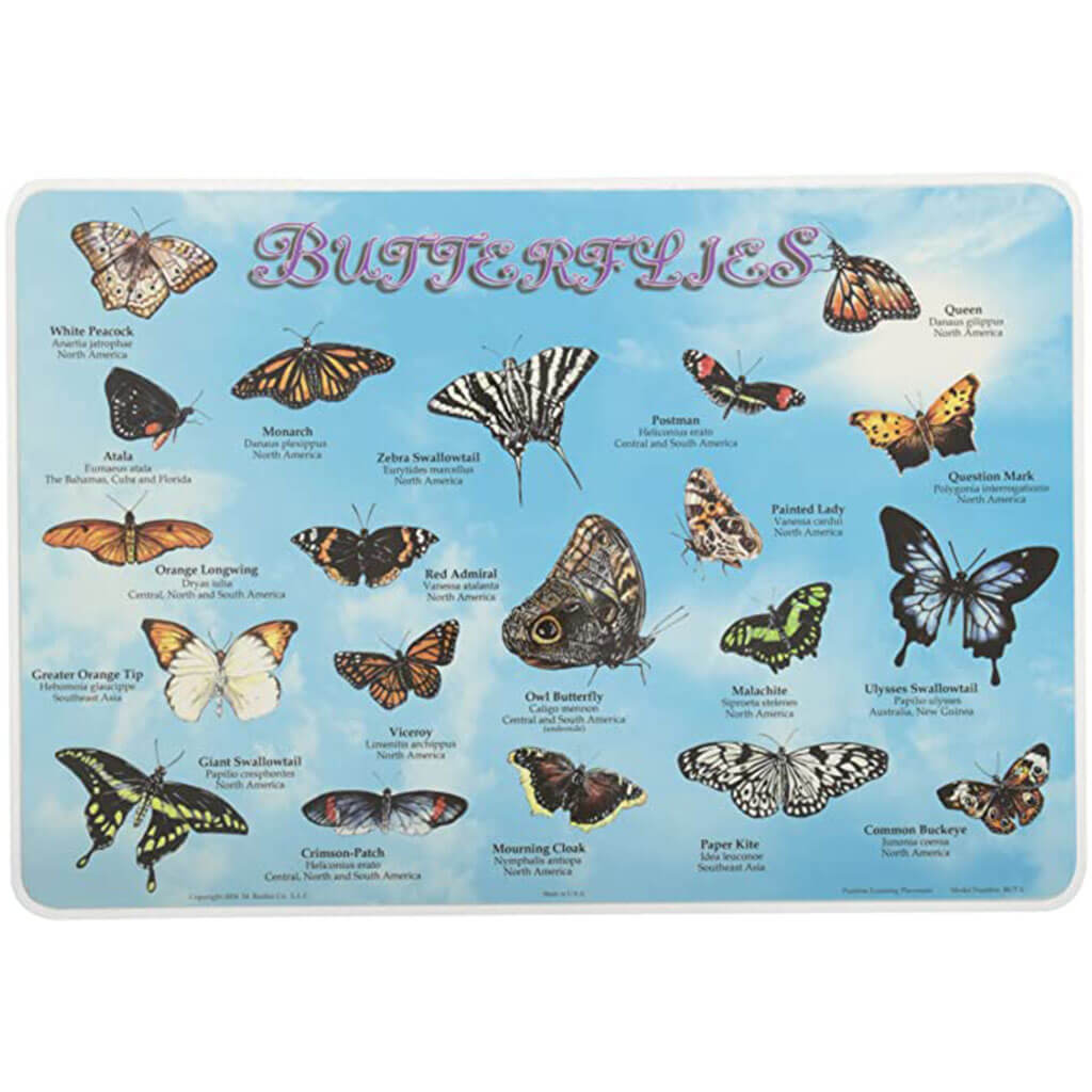 Butterflies Placemat