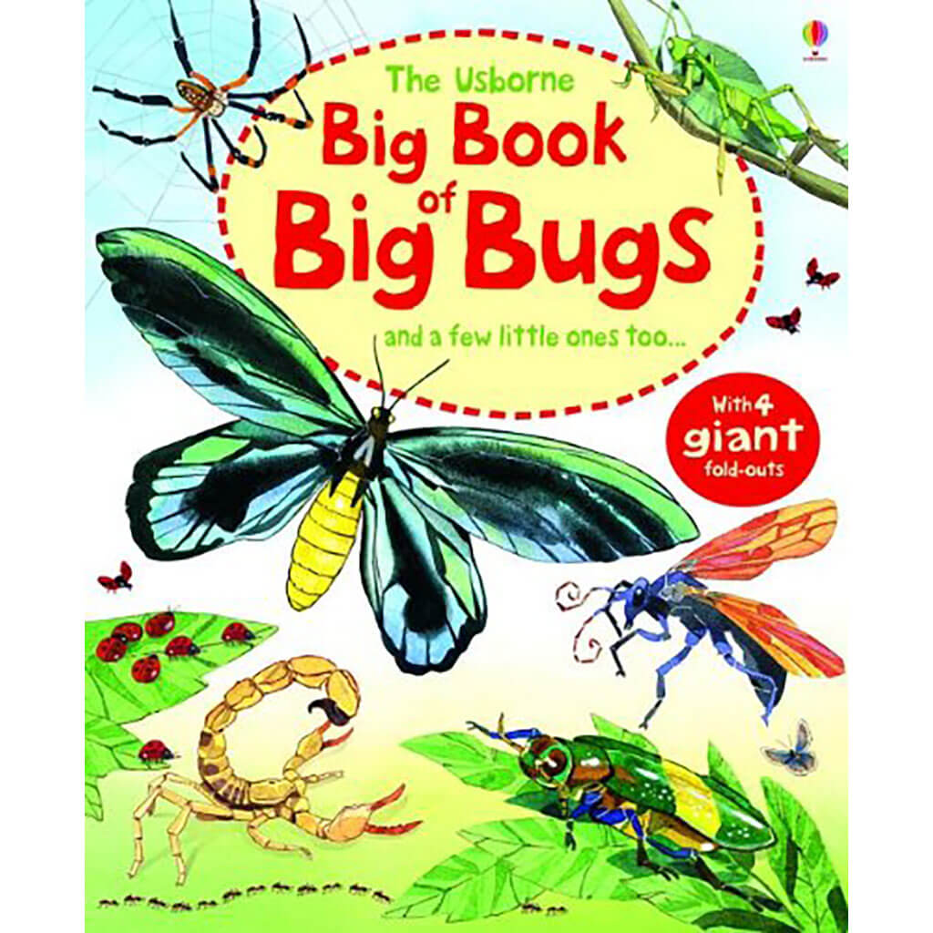 Big Book Of Big Bugs