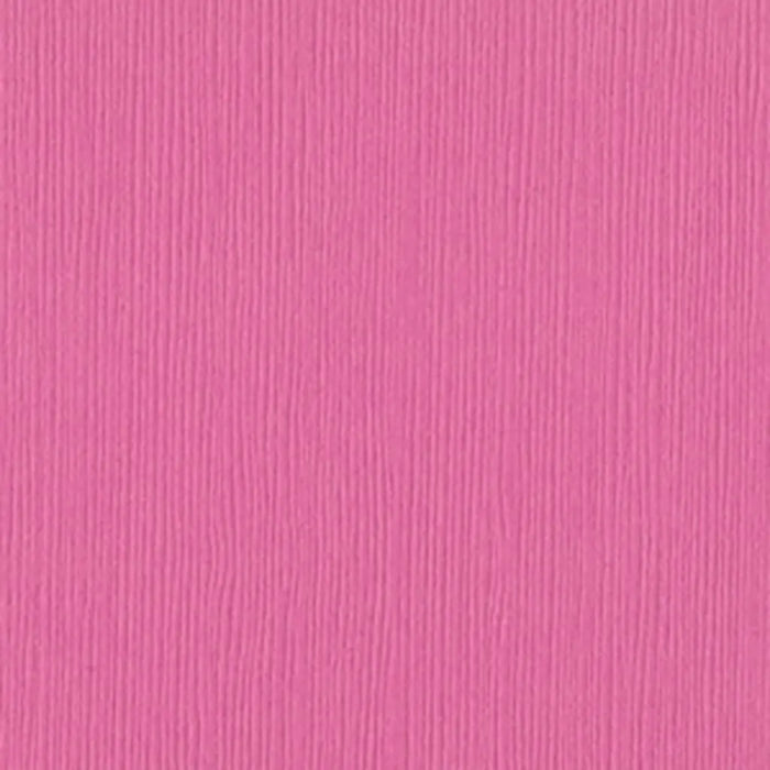 Cardstock 12in x 12in, Chablis