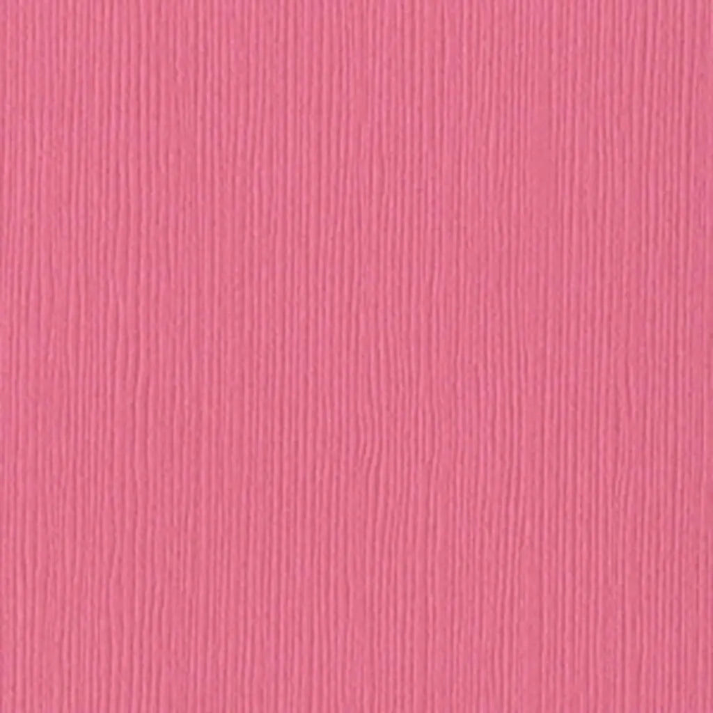 Cardstock 12in x 12in, Piglet
