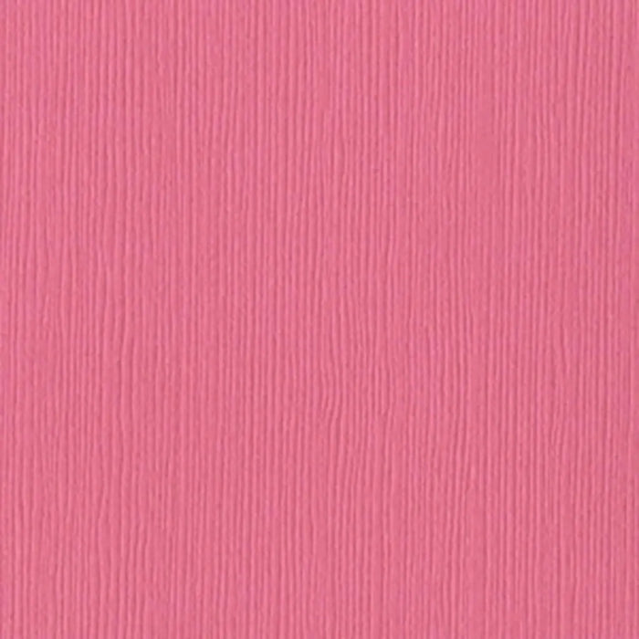 Cardstock 12in x 12in, Piglet