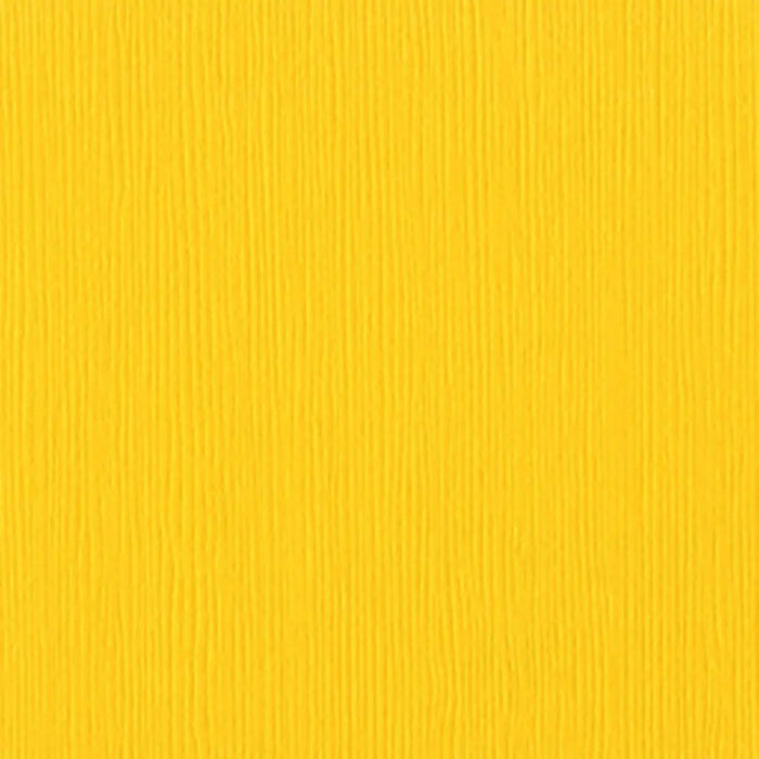 Cardstock 12in x 12in, Mexican Poppy