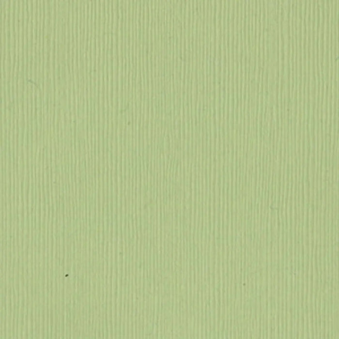 Cardstock 12in x 12in, Spring Breeze