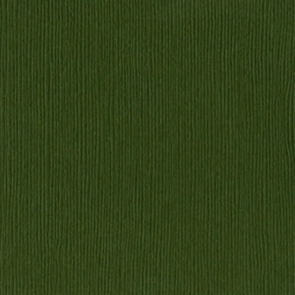 Cardstock 12in x 12in, Rain Forest